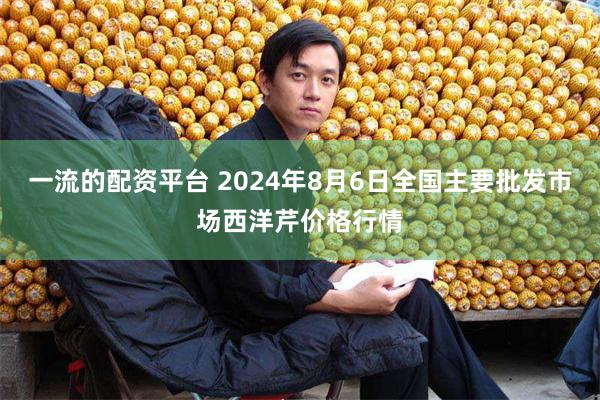 一流的配资平台 2024年8月6日全国主要批发市场西洋芹价格行情