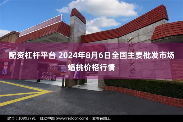 配资杠杆平台 2024年8月6日全国主要批发市场蟠桃价格行情