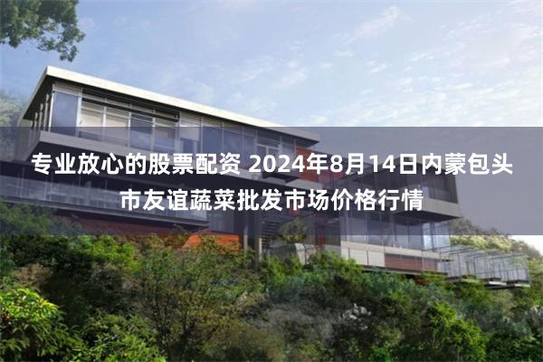 专业放心的股票配资 2024年8月14日内蒙包头市友谊蔬菜批发市场价格行情