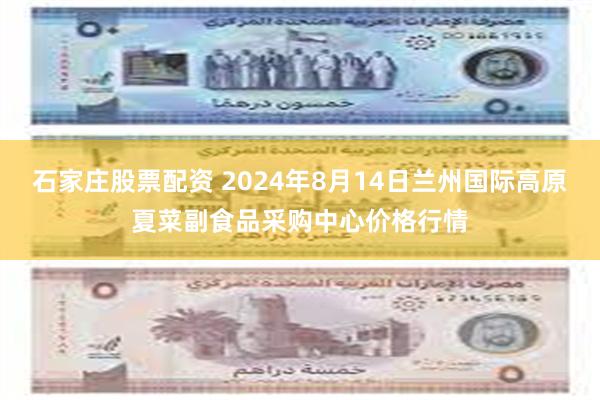 石家庄股票配资 2024年8月14日兰州国际高原夏菜副食品采购中心价格行情