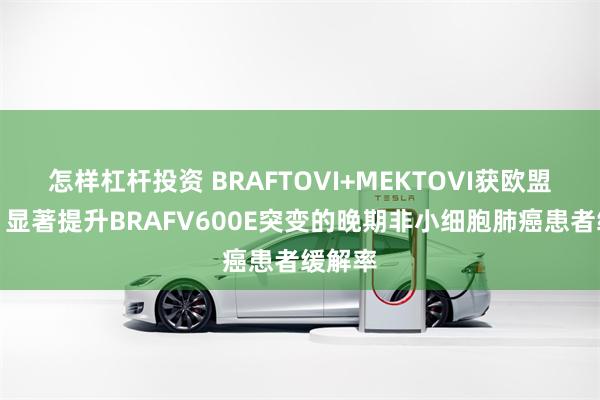 怎样杠杆投资 BRAFTOVI+MEKTOVI获欧盟认可，显著提升BRAFV600E突变的晚期非小细胞肺癌患者缓解率