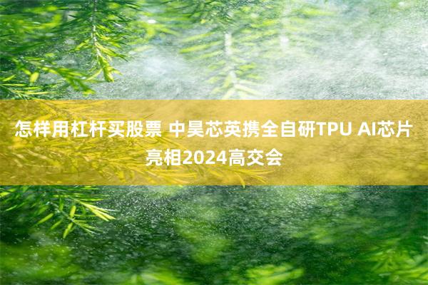 怎样用杠杆买股票 中昊芯英携全自研TPU AI芯片亮相2024高交会