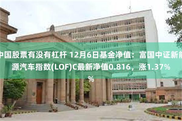 中国股票有没有杠杆 12月6日基金净值：富国中证新能源汽车指数(LOF)C最新净值0.816，涨1.37%