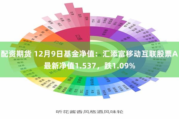 配资期货 12月9日基金净值：汇添富移动互联股票A最新净值1.537，跌1.09%