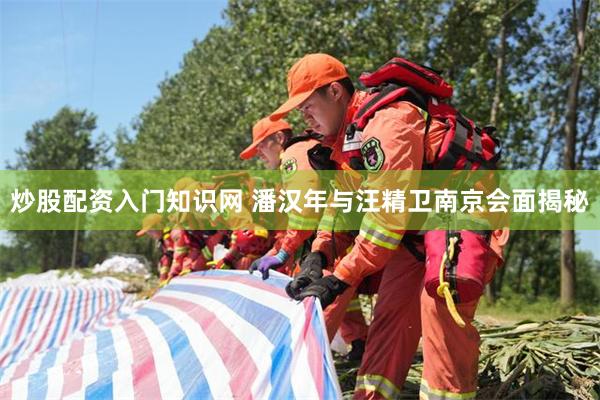 炒股配资入门知识网 潘汉年与汪精卫南京会面揭秘