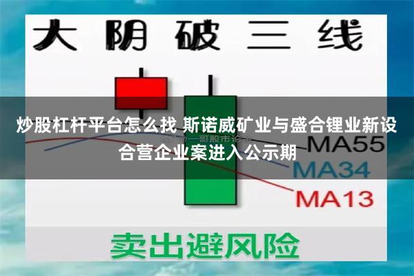 炒股杠杆平台怎么找 斯诺威矿业与盛合锂业新设合营企业案进入公示期