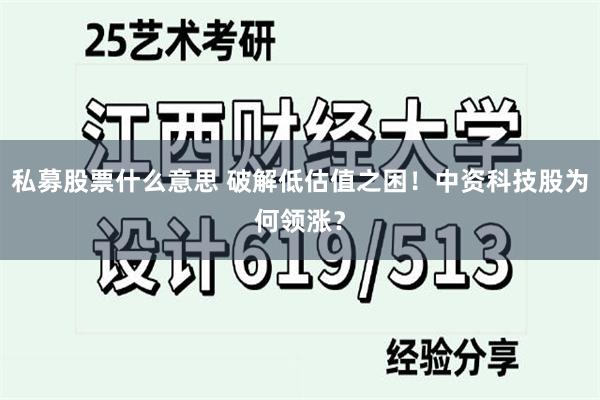 私募股票什么意思 破解低估值之困！中资科技股为何领涨？