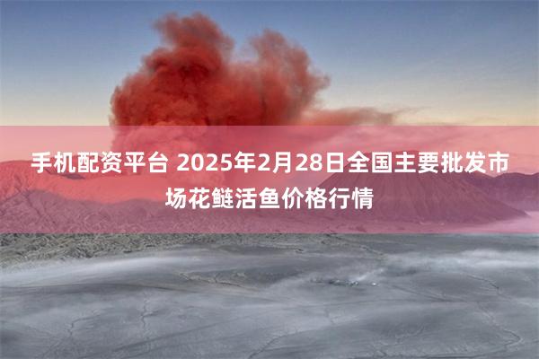 手机配资平台 2025年2月28日全国主要批发市场花鲢活鱼价格行情